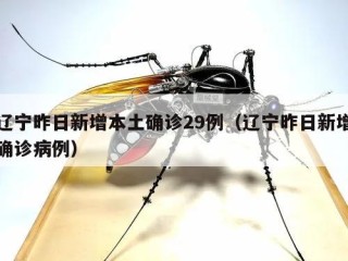 辽宁昨日新增本土确诊29例（辽宁昨日新增确诊病例）