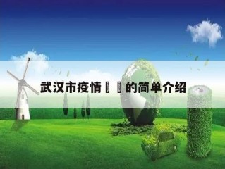 武汉市疫情㊙️的简单介绍